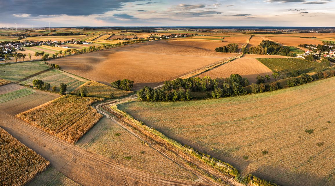Panoramiczne ujęcie z lotu ptaka na rozległe pola uprawne oświetlone ciepłym, wieczornym słońcem. Przez rolniczy krajobraz zygzakiem przebiega wyraźny, jasny pas robót ziemnych wyznaczający trasę rurociągu. W tle widoczne są rozproszone zabudowania wiejskie oraz turbiny wiatrowe na odległym horyzoncie.